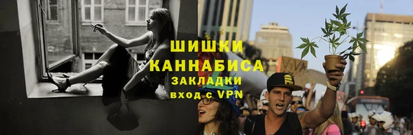 крисы Верхний Тагил