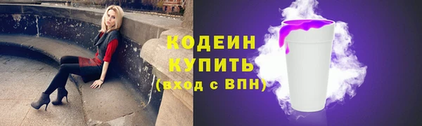 крисы Верхний Тагил