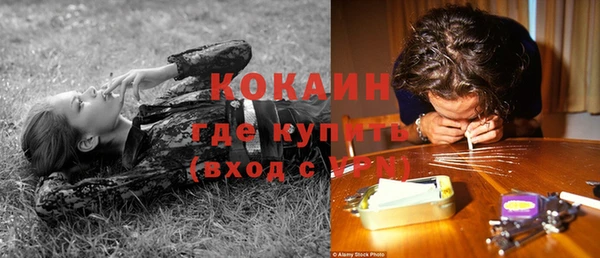 крисы Верхний Тагил