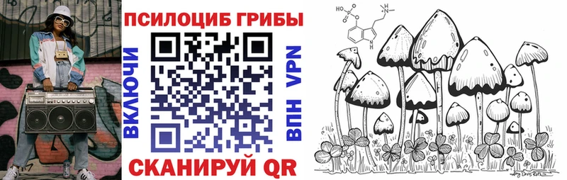 Псилоцибиновые грибы Psilocybe  Гремячинск 